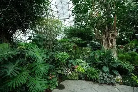 Футуристическая оранжерея Shanghai Greenhouse Garden в парке Экспо