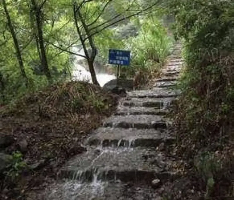 Атмосфера туманного утра