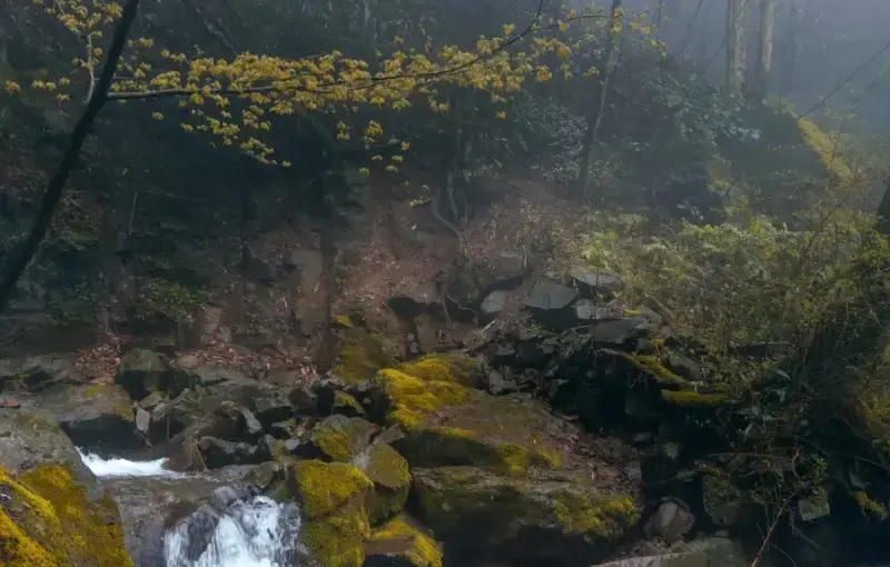 Водопад Длинный Дракон (长龙飞瀑)