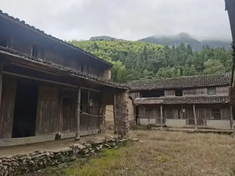 Утренний туман над деревней