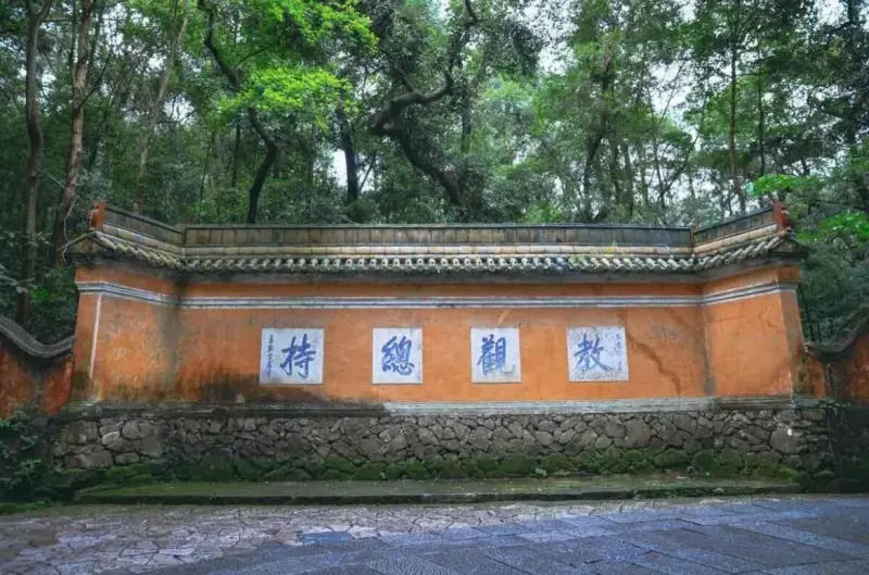 Чайные террасы Тяньтай (天台山云雾茶)