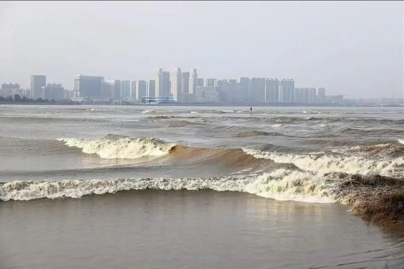 海宁中国皮革城 – огромный меховой рынок