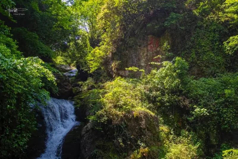 Панорама ущелья с водопадом