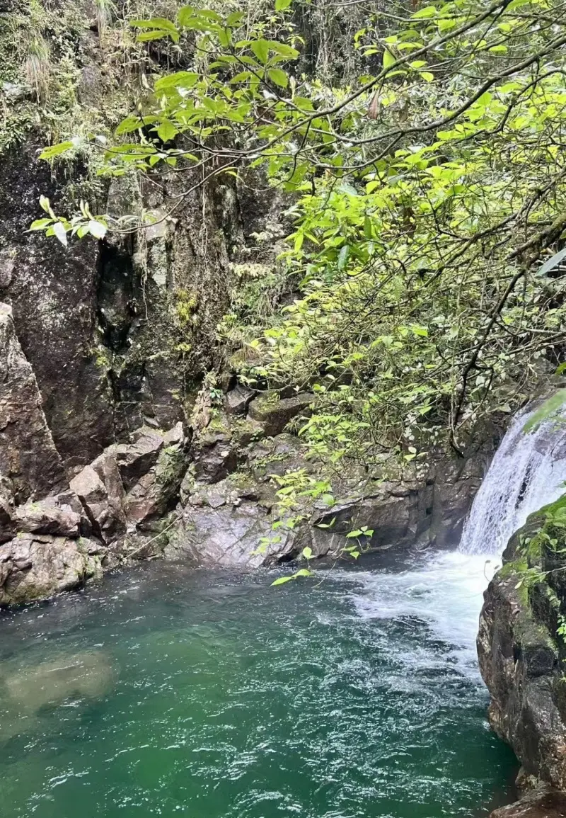Водопад и каменный мост в глубине заповедника