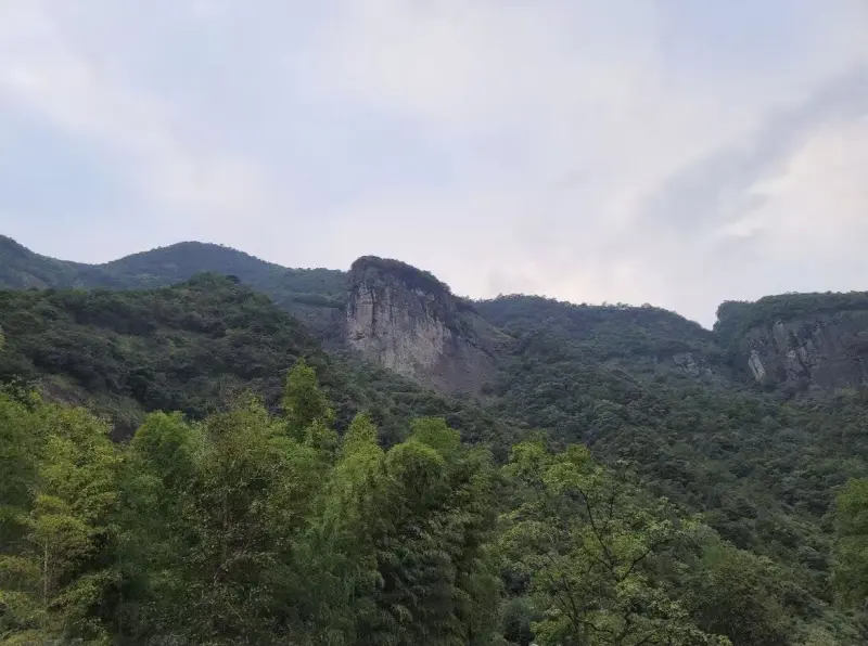 Туманный лес заповедника Цзюлуншань