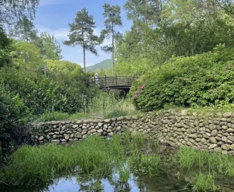 Бамбуковая роща