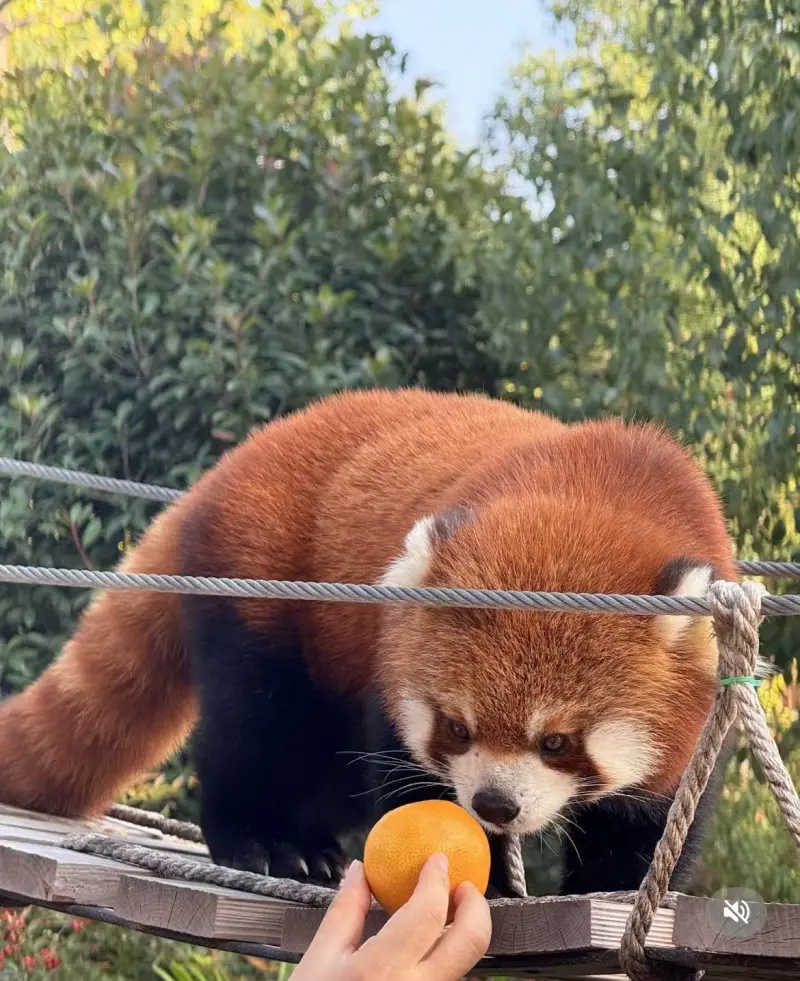 Вход в Longemont Animal World