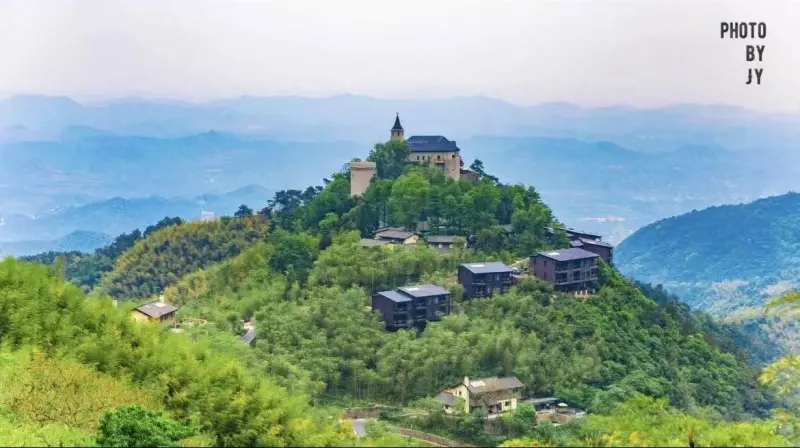 Панорама бамбукового леса в горах Моганьшань