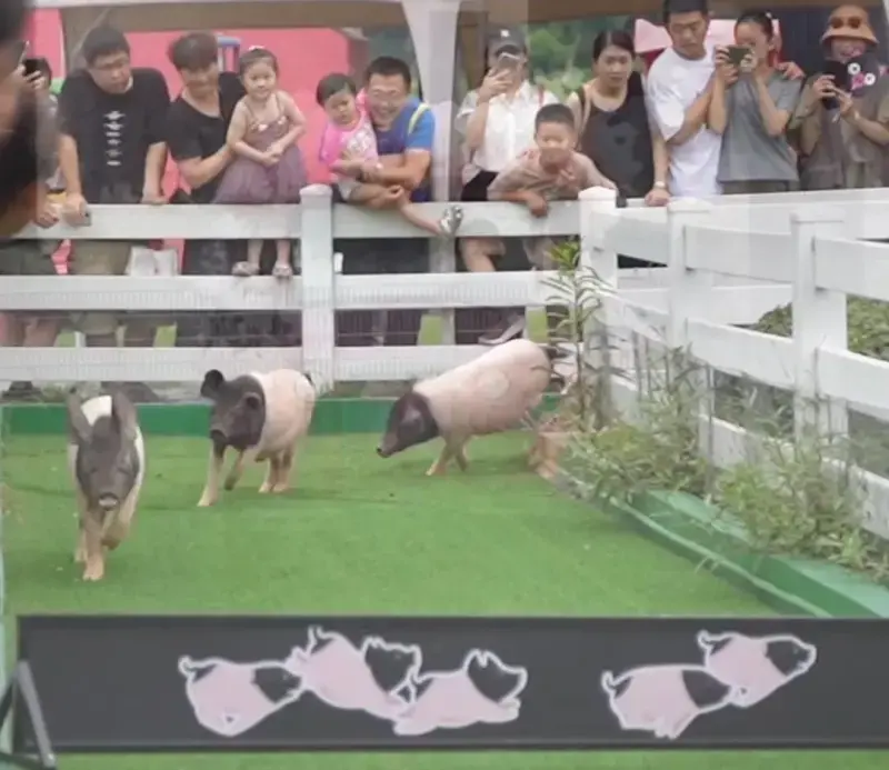 Мастер-класс: натирание солью
