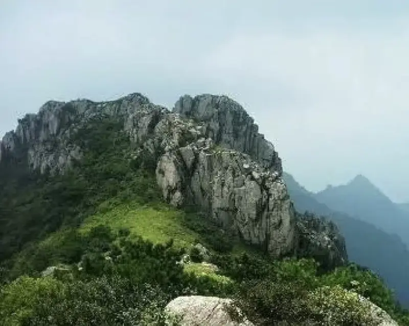 Альпийские луга на высоте 1500 м