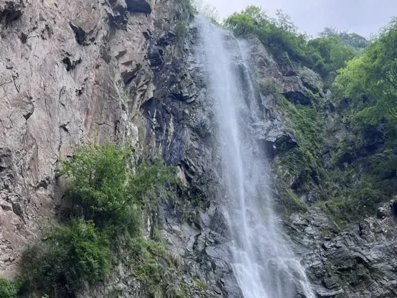 Бамбуковая роща у водопада