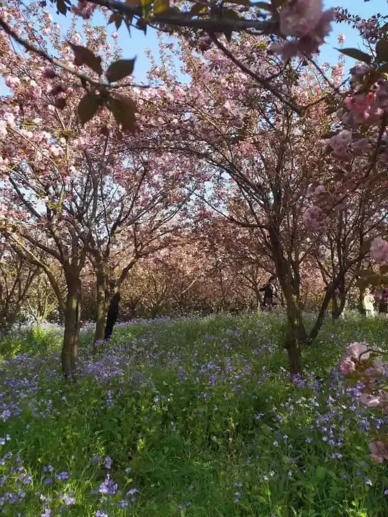 Архитектура храма