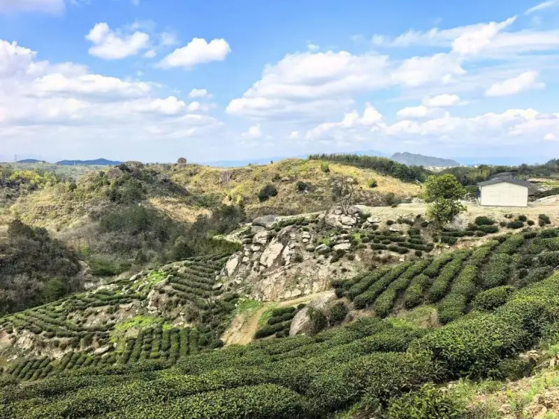 Панорама долины