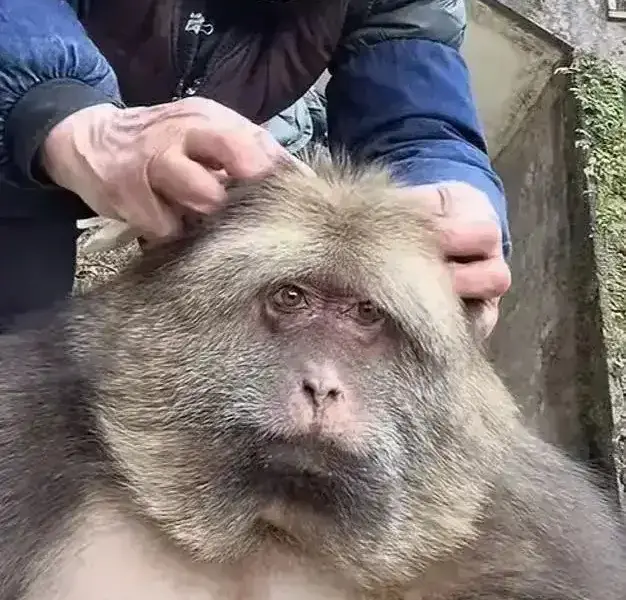 Музей Красное приданое (十里红妆博物馆)