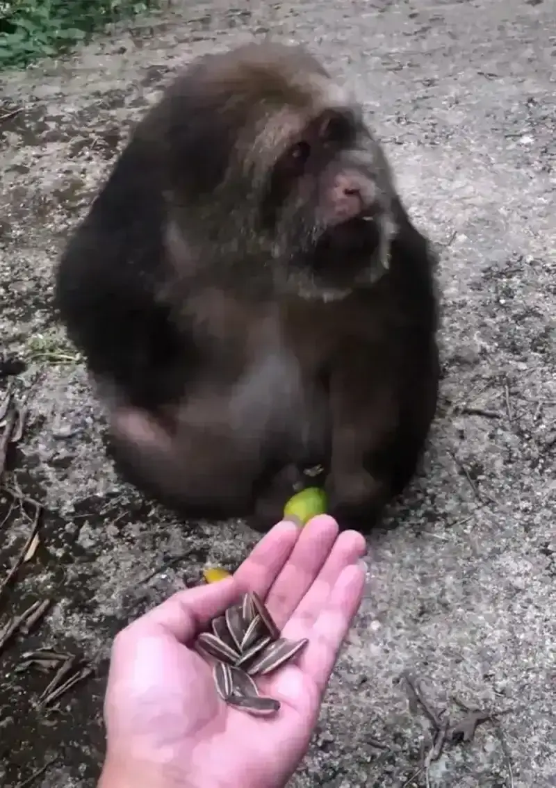 Музей Красное приданое (十里红妆博物馆)