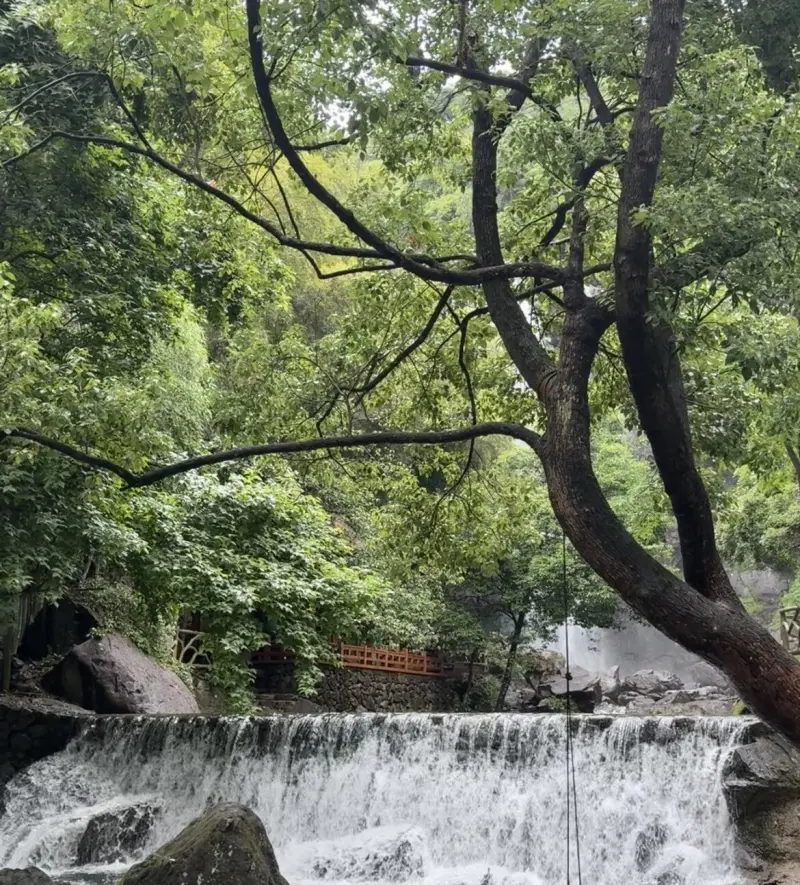 Панорама с вершины горы