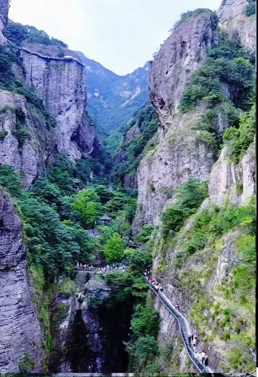 Водные пады
