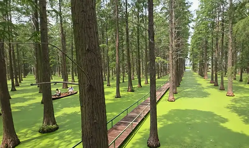 Водно-болотный парк Луянху – жемчужина Янчжоу