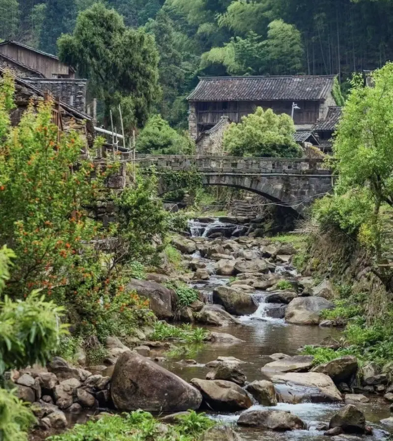 Панорама каменной деревни Янься, горы и бамбуковые рощи