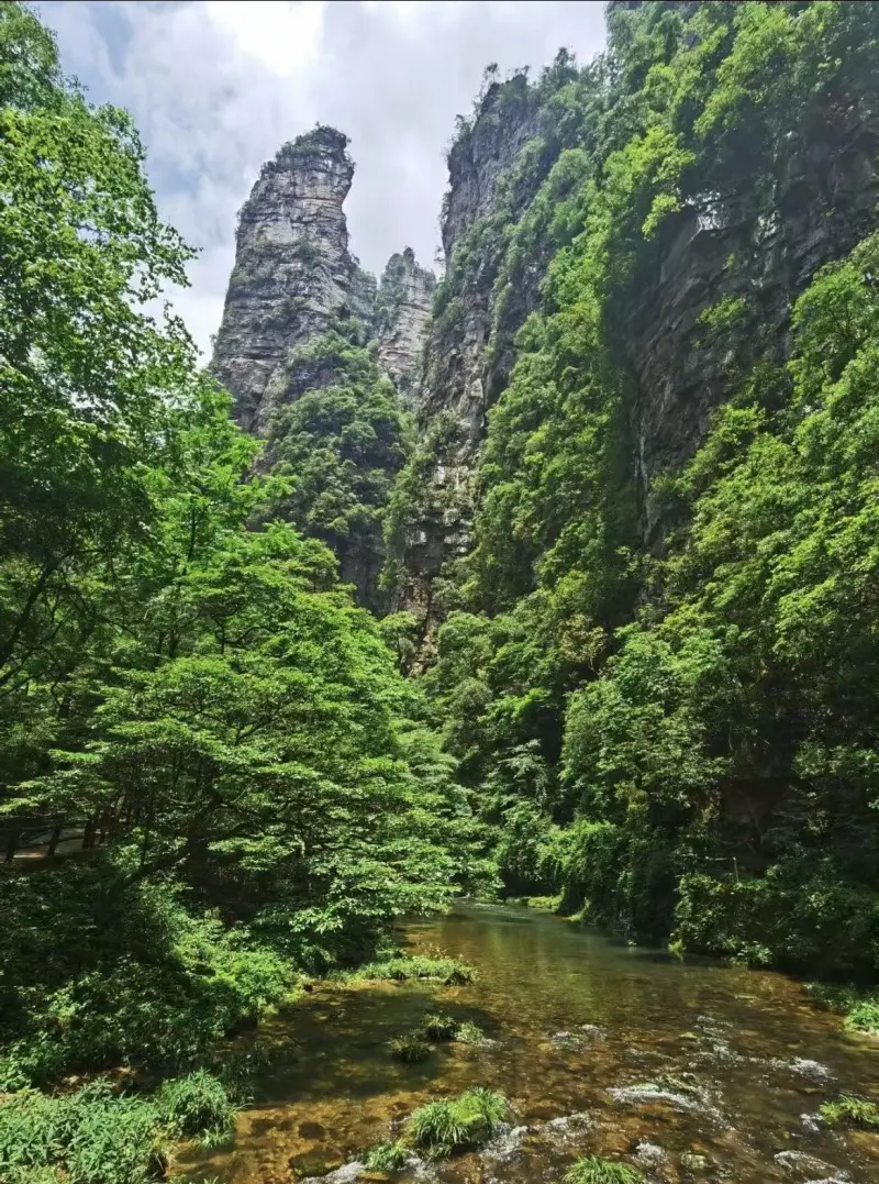 Гранд-каньон Чжанцзяцзе