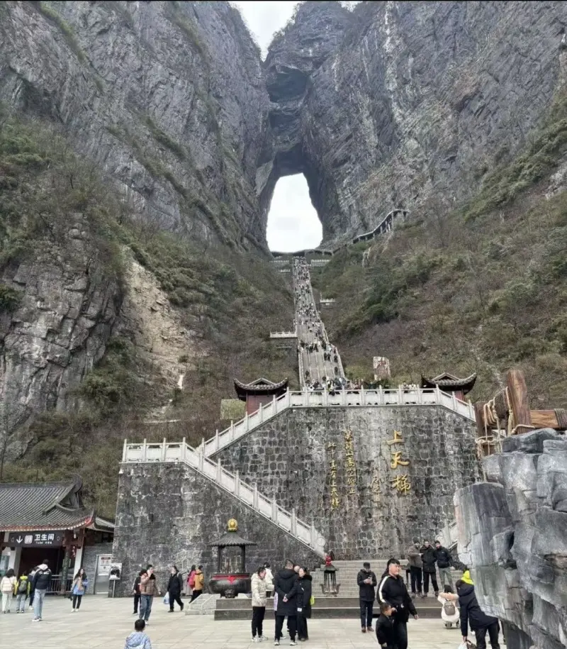 Флора парка